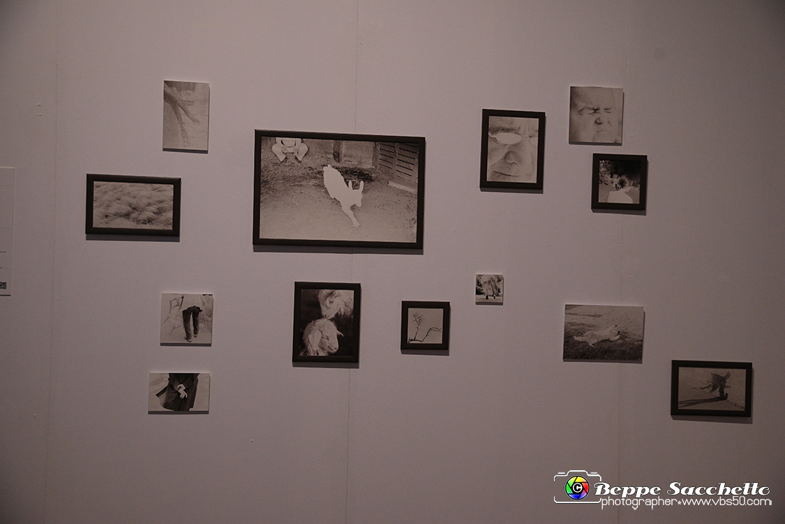 VBS_0822 - Mostra Liquida Photofestival.jpg